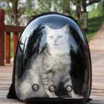 Space Capsule Ventilated Cat Backpack Carrier
