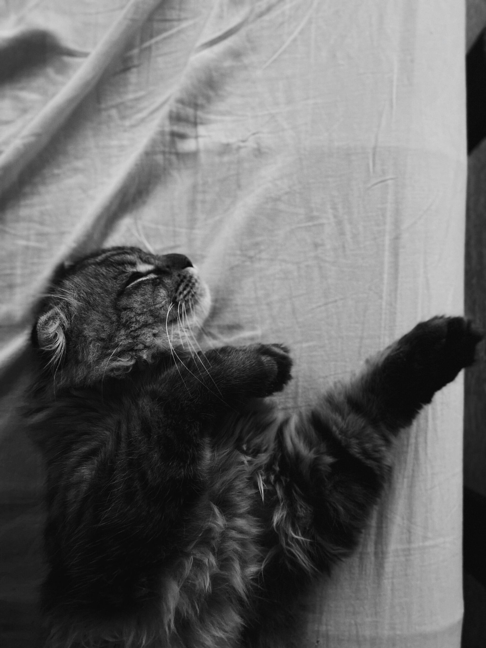 Pet warming pad Thera-Pawz Warming Pad for Cats and Dogs - Image 1