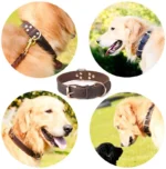 Benepaw Premium Leather Dog Collar - Image 5