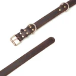 Benepaw Premium Leather Dog Collar - Image 6