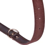 Benepaw Premium Leather Dog Collar - Image 2