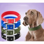 Heavy-Duty Nylon Dog Collar - Image 2