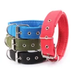 Heavy-Duty Nylon Dog Collar - Image 3