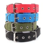 Heavy-Duty Nylon Dog Collar