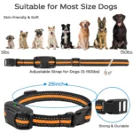 Remote Rechargeable Dog Training E-Collar - Image 6