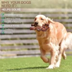 Nylon Bite-Resistant Gorilla Dog Toy - Image 5