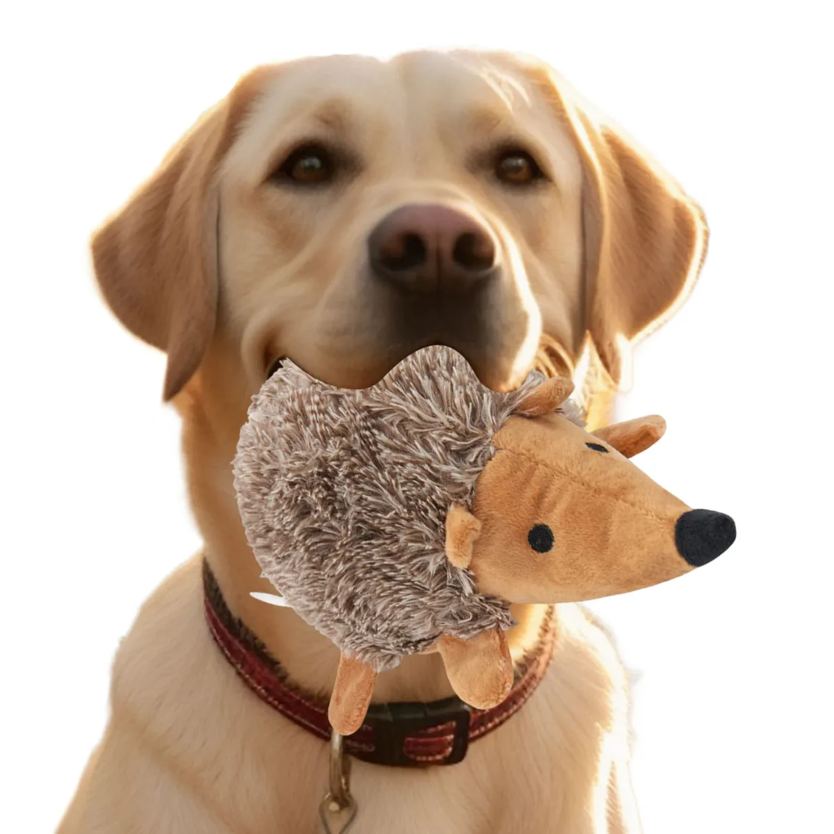 Squeaky Hedgehog Dog Toy – Bite-Resistant Interactive Chew & Throw for Small & Medium Dogs - Image 5