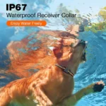 Remote Rechargeable Dog Training E-Collar - Image 3