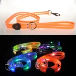 LED Light-Up Dog Leash - Image 5