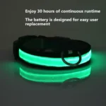 GlowGuard LED Safety Dog Collar - Image 5