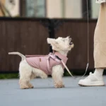 Dog Puffer Jacket - Image 2