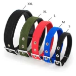 Heavy-Duty Nylon Dog Collar - Image 4