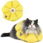 Cat Recovery Cone Collar