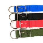 Heavy-Duty Nylon Dog Collar - Image 5