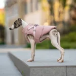 Dog Puffer Jacket
