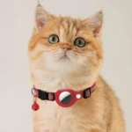 Apple AirTag Compatible Cat Collar - Image 2