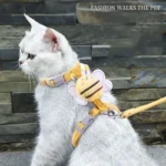 Buddy Bee Harness & Leash Set