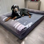 Orthopedic Memory Foam Dog Bed - Image 4