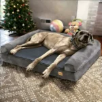 Orthopedic Memory Foam Dog Bed