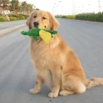 Cute Dinosaur Plush Dog Toy – Squeaky, Chew-Resistant & Fun - Image 4