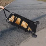 Pet Stretcher & Transport Bed - Image 3