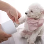 Pet Paw Cleaner Cup – Quick & Gentle Foot Washer for Dogs - Image 3