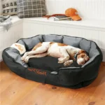 BingoPaw Waterproof Dog Bed - Image 2