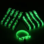 Luminous Glow-in-the-Dark Pet Collar - Image 3