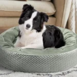 Electric Heated Pet Bed 🐱🐶