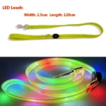LED Light-Up Dog Leash - Image 4