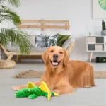Cute Dinosaur Plush Dog Toy – Squeaky, Chew-Resistant & Fun - Image 5