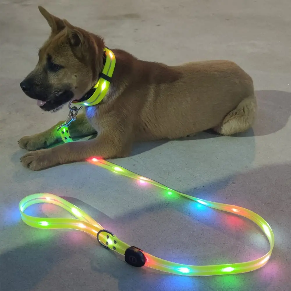 kf-S6543156e979541b889d3e963e4698a2eE LED Light-Up Dog Leash – USB Rechargeable Night Walking Leash for Pets - Image 1