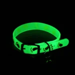 Luminous Glow-in-the-Dark Pet Collar - Image 2