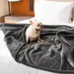Cozy & Calming Waterproof Pet Blanket – Reversible Comfort & Furniture Protection - Image 2