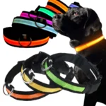 GlowGuard LED Safety Dog Collar