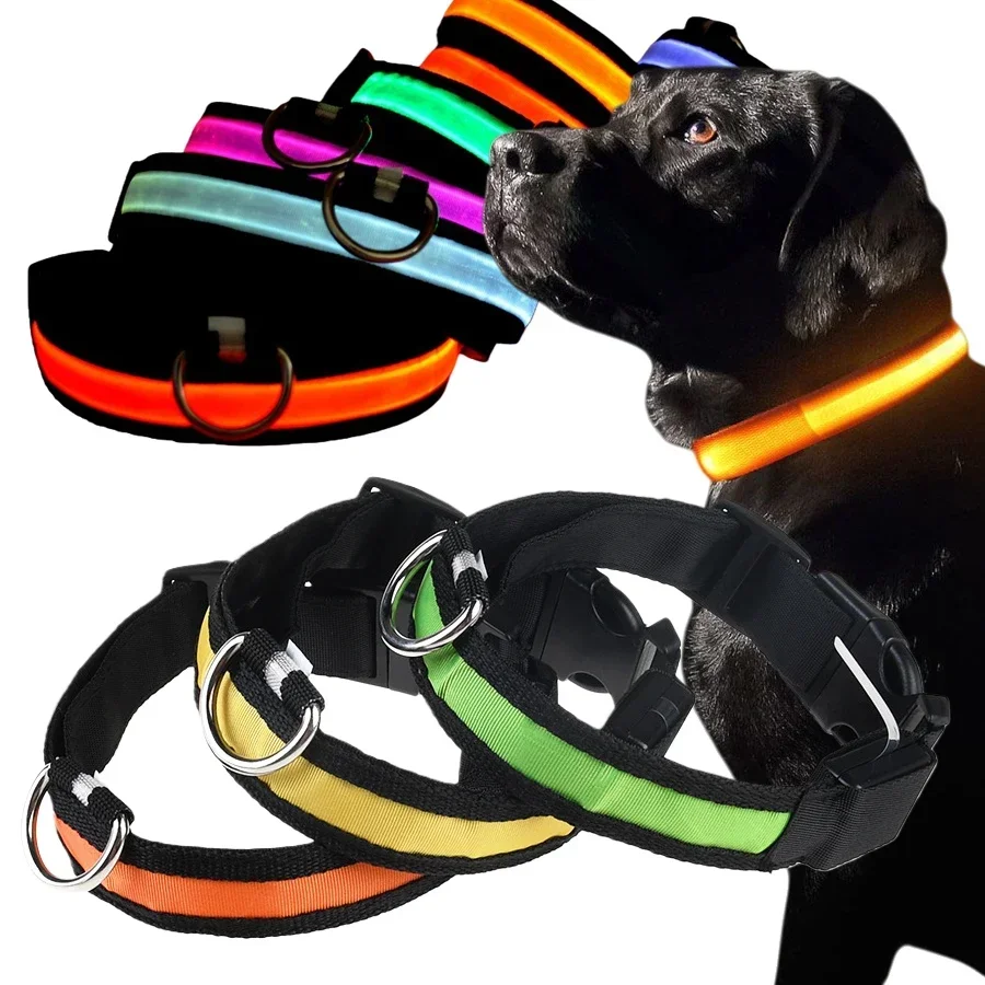 kf-S7ec2c4650a1c4822bfeac68bdaf268b2X LED Glowing Dog Collar – Nylon Night Safety Luminous Collar for Dogs - Image 1
