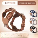 Classic Adjustable Dog Harness - Image 2