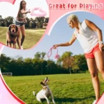 25-Piece Valentine’s Dog Toy Set - Image 4