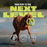 Wishbone & Tug Toy Bundle - Image 4