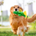 Cute Dinosaur Plush Dog Toy – Squeaky, Chew-Resistant & Fun