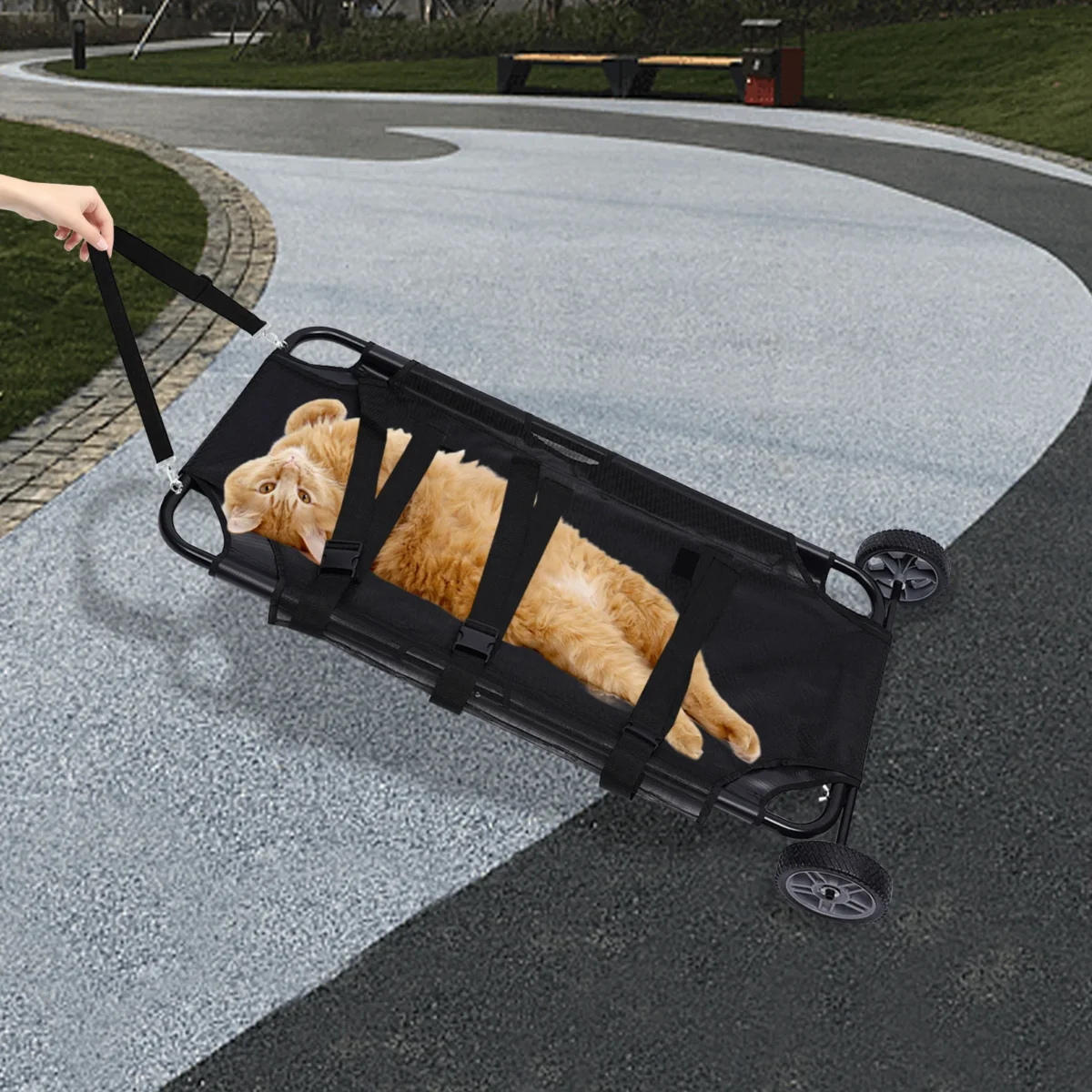 115*55*15.24 cm Pet Stretcher & Veterinary Transport Bed – Foldable Trolley for Dogs & Cats, 50kg Capacity - Image 4