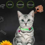 Luminous Glow-in-the-Dark Pet Collar - Image 4