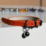 Vegan Leather Cat Collar