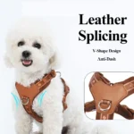 Classic Adjustable Dog Harness - Image 3