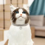 Rhinestone Pet Collar - Image 5