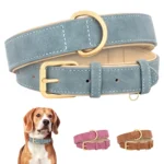 Chic Leather Dog Collar