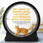 Large Indoor Running Treadmill for Cats - Image 4