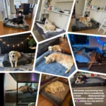 Orthopedic Memory Foam Dog Bed - Image 5