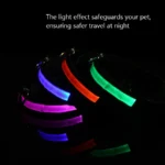 GlowGuard LED Safety Dog Collar - Image 3