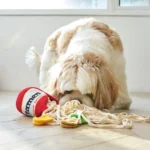 Ramen Noodle Dog Toy - Image 2